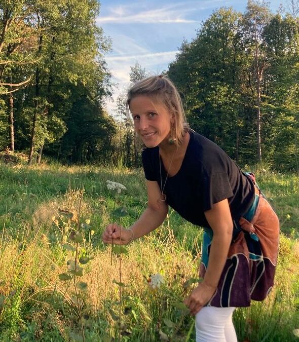 Wildkräuterexkursion im Oberbergischen